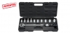 Professional Torque Wrench Set