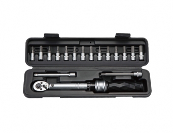 Professional Torque Wrench Set